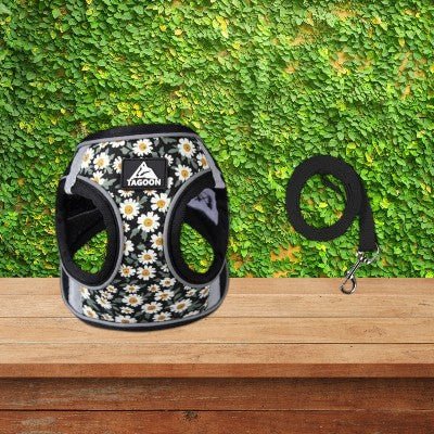 harnais-petit-chien-marguerites-noir