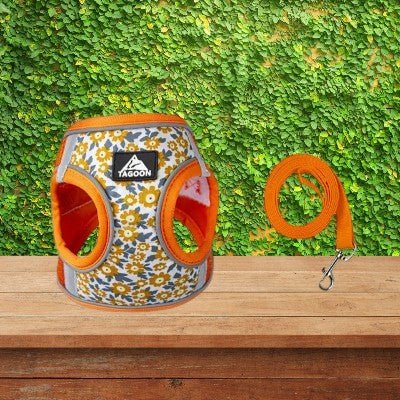 harnais-petit-chien-marguerites-orange