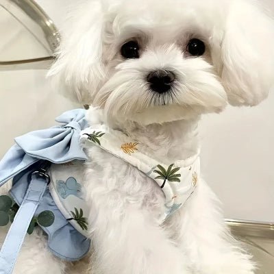 Harnais petit chien / noeud papillon - au royaume des chiens