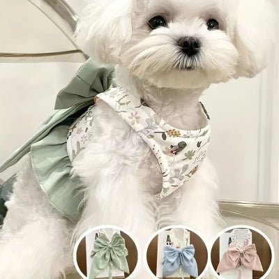 Harnais petit chien / noeud papillon - au royaume des chiens
