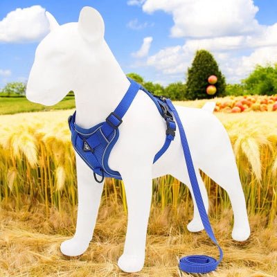 Harnais pour chien- petit chien -couleur-bleu