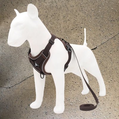 Harnais pour chien - petit chien -noir