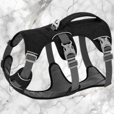 harnais-pour-chien- leger-noir