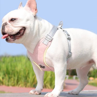 harnais-pour-chien-anti-traction-promenade-rose