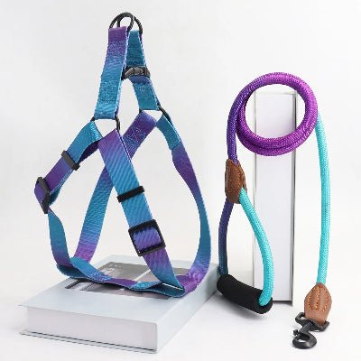 harnais pour chien - coloré - mauve-bleu-demo
