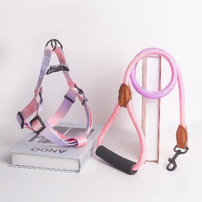 harnais pour chien - coloré -mauve-rose-demo