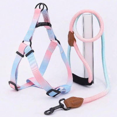 harnais pour chien - coloré - rose-bleu-demo