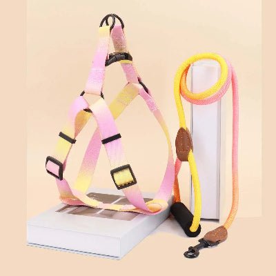 harnais pour chien - coloré - rose-jaune-demo