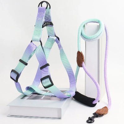 harnais pour chien - coloré -turquoise-lilas-demo