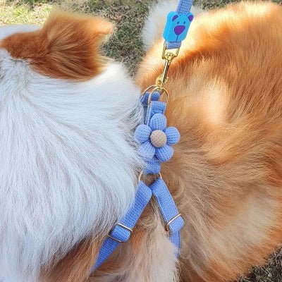 Harnais pour chien / coquet - au royaume des chiens