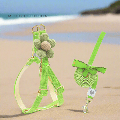 Harnais pour chien / coquet - au royaume des chiens