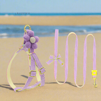 Harnais pour chien / coquet - au royaume des chiens