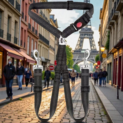 harnais-pour-chien-deux-ceinture-dans-rue-demo