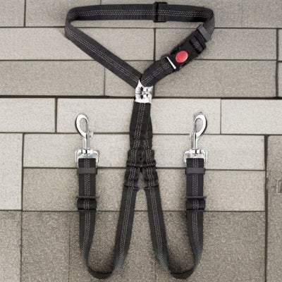 harnais-pour-chien-deux-ceinture-sur-mur-de-brique-demo