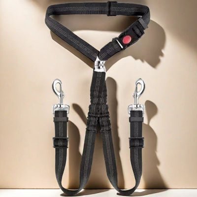 harnais-pour-chien-deux-ceinture