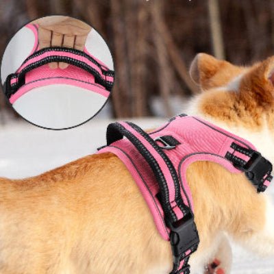 Harnais pour chien avec laisse - au royaume des chiens