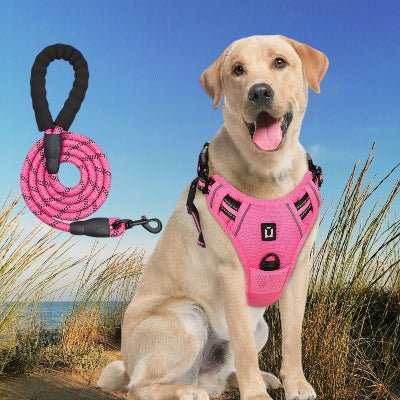 Harnais pour chien avec laisse - au royaume des chiens
