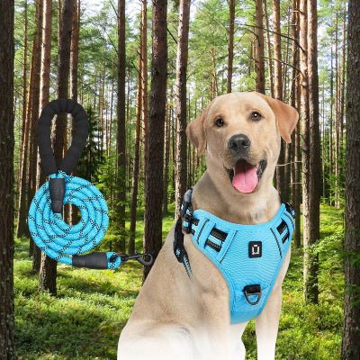 Harnais pour chien avec laisse - au royaume des chiens