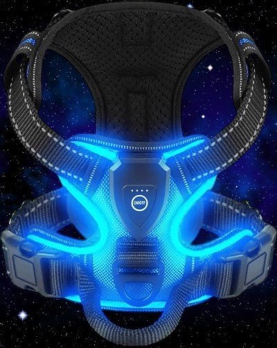 harnais-pour-chien-led-bleu