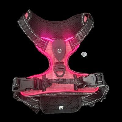 harnais-pour-chien-led-rose