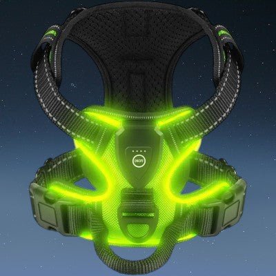 harnais-pour-chien-led-vert