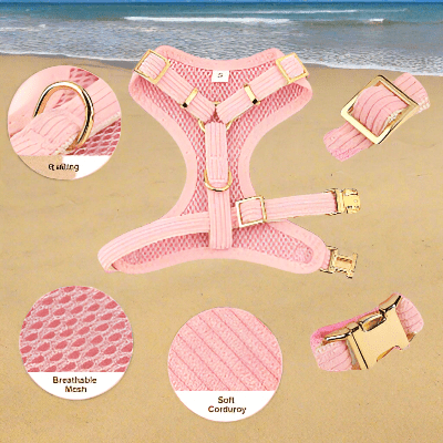 Harnais pour chien / nœud papillon - au royaume des chiens