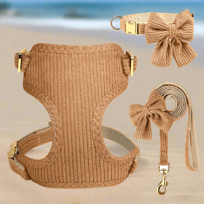 Harnais pour chien / nœud papillon - au royaume des chiens