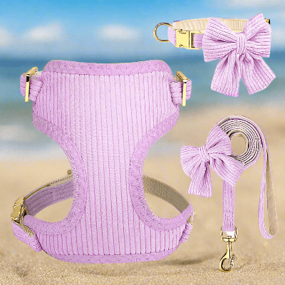 Harnais pour chien / nœud papillon - au royaume des chiens