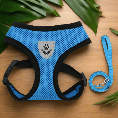harnais-pour-chien-petit-laisse-bleu