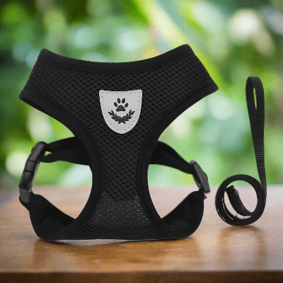 harnais-pour-chien-petit-laisse-noir