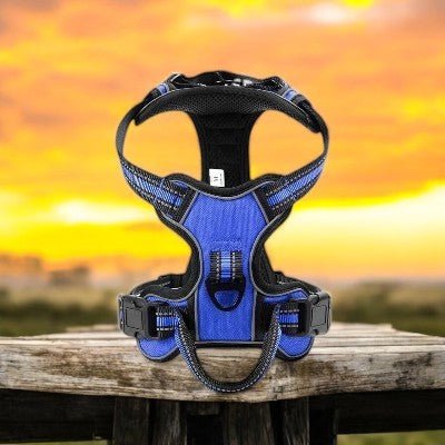 harnais-pour-chien-reflechissant-bleu
