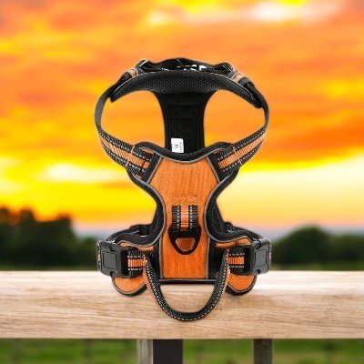 harnais-pour-chien-reflechissant-orange