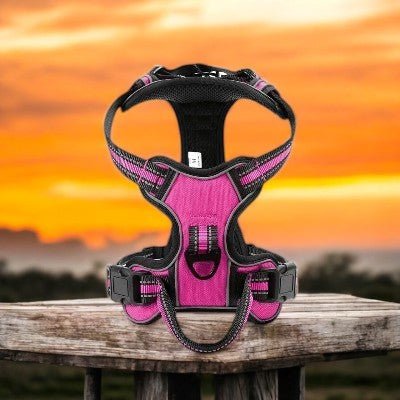 harnais-pour-chien-reflechissant-rose