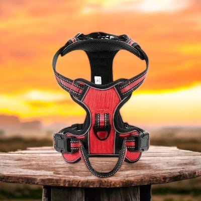 harnais-pour-chien-reflechissant-rouge