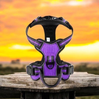 harnais-pour-chien-reflechissant-violet