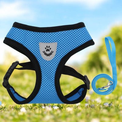 harnais  pour chien - sécurite et confort-bleu-demo