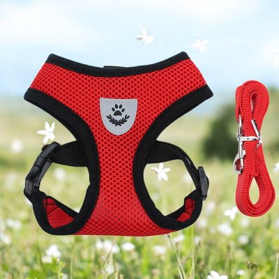 harnais  pour chien - sécurite et confort-rouge-demo