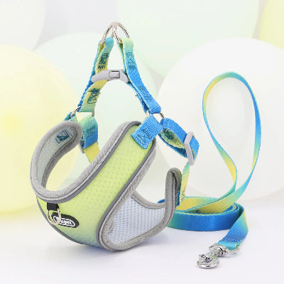 harnais- pour- chien-souple-bleu-jaune-demo
