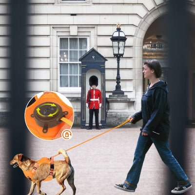 harnais-traction-retractable-balade