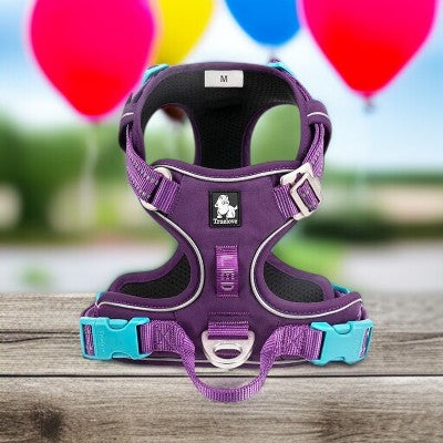 harnais_chien_-_sans_traction_en_Nylon_reflechissant-mauve-et-bleus