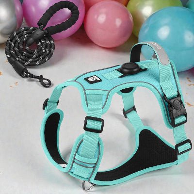 harnais– chien  balistique tactique - protection et style militaire-bleu-avec-laisse