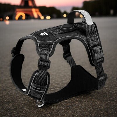 harnais chien  balistique tactique–protection et style militaire-noir-sans-laisse
