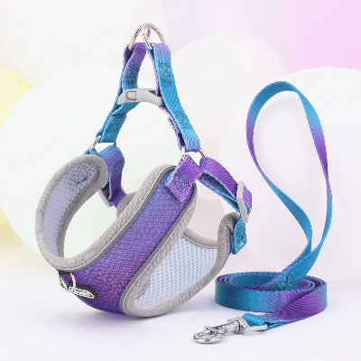 harnais-pour-chien-souple-bleu-mauve-demo