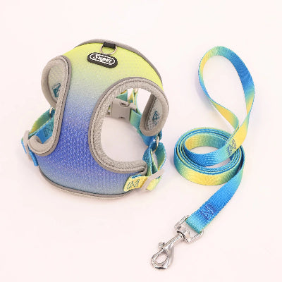 harnais-pour-chien-souple-jaune-bleu-demo