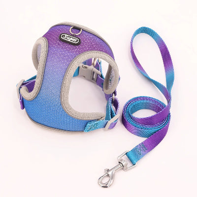 harnais-pour-chien-souple-mauve-bleu-demo