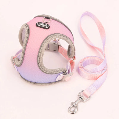 harnais-pour-chien-souple-rose-bleu-demo