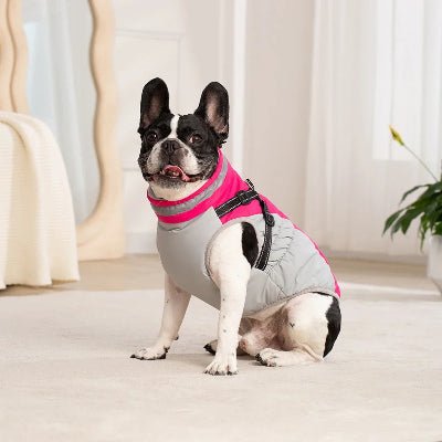 imperméable pour chien - avec harnais chauds d'hiver-chien-portant-rose