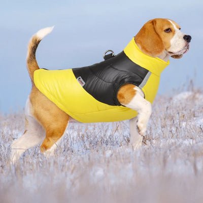 imperméable pour chien - vêtements chauds d'hiver pour petits et moyens chiens-jaune