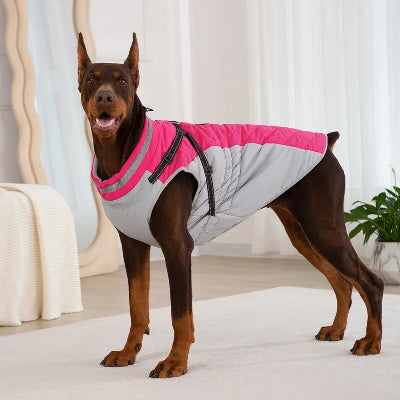 impermeable-chien-pour-gros-avec-harnais-chauds-dhiver-gros-chien-portant-rose-debout-salon