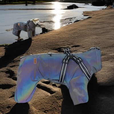 imperm_able_pour-chien-_salopette_pour_petits_chiens-gris-pale